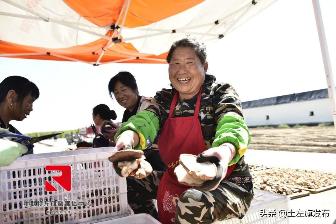 生活受益小妙招，提升生活品质的实用技巧