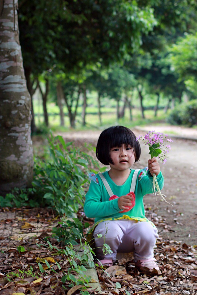 摘花生活小妙招分享